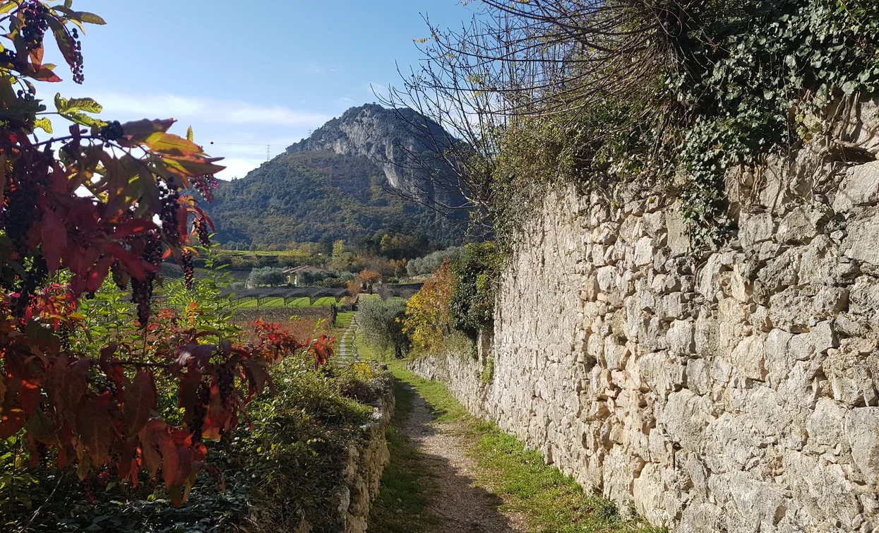 Muretti a secco tra Dro e Ceniga | © Archivio Garda Trentino (ph. Angelo Seneci), Garda Trentino 