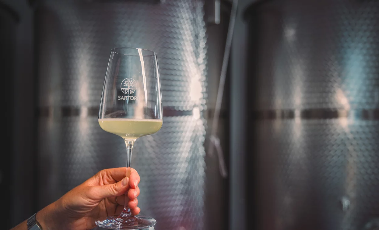 Tasting Sartori Ledro - Lake Garda